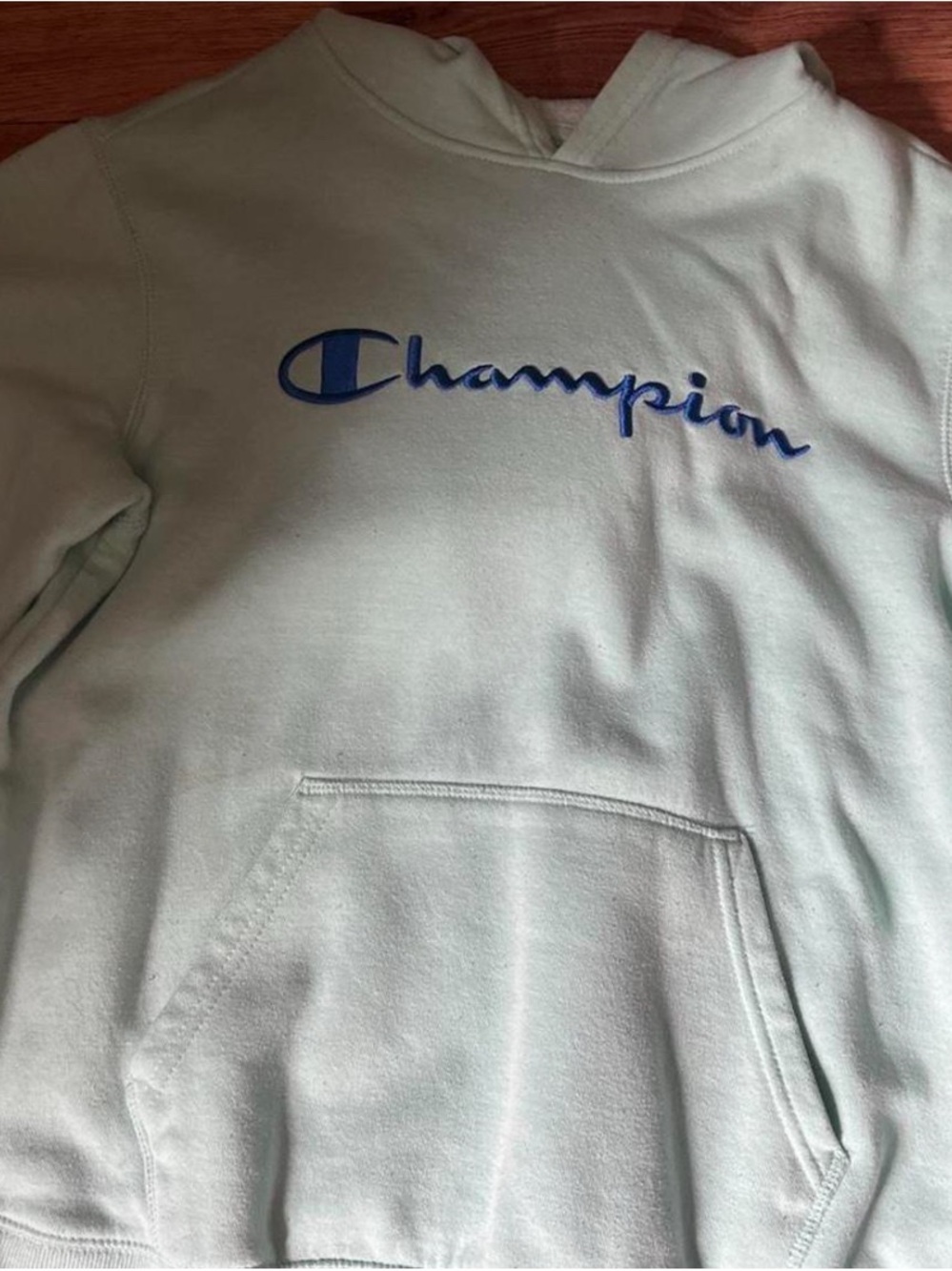 Champion Mint Green Hoodie with Blue Logo